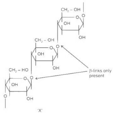 JEE Previous Year Questions (2022-21): Polymers