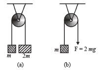 JEE Advanced (Fill in the Blanks & True/False): Laws of Motion | Chapter-wise Tests for JEE Main & Advanced