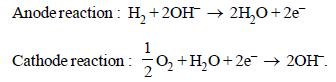 JEE Advanced (Subjective Type Questions): Electrochemistry- 1 | Chapter-wise Tests for JEE Main & Advanced
