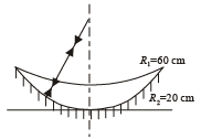 JEE Advanced (Subjective Type Questions): Ray & Wave Optics- 1 | Chapter-wise Tests for JEE Main & Advanced