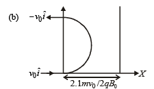 JEE Advanced (Subjective Type Questions): Moving Charges & Magnetism | Chapter-wise Tests for JEE Main & Advanced