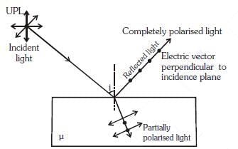 NEET Previous Year Questions (2014-2024): Wave Optics | Physics Class 12