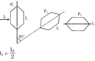 NEET Previous Year Questions (2014-2024): Wave Optics | Physics Class 12