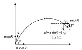 JEE Advanced (Subjective Type Questions): Motion | Chapter-wise Tests for JEE Main & Advanced