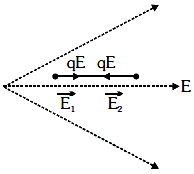 NEET Previous Year Questions (2014-2024): Electric Charges & Fields | Physics Class 12
