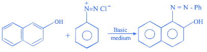 JEE Previous Year Questions (2021-2025): Compounds Containing Nitrogen | 35 Years Chapter wise Previous Year Solved Papers for JEE