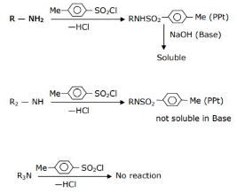 JEE Previous Year Questions (2021-2025): Compounds Containing Nitrogen | 35 Years Chapter wise Previous Year Solved Papers for JEE
