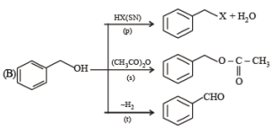 JEE Advanced (Matrix Match & Integer Answer): Organic Chemistry - Some Basic Principles & Technique | Chapter-wise Tests for JEE Main & Advanced