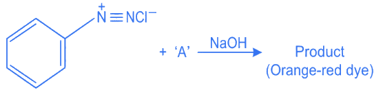 JEE Previous Year Questions (2021-2025): Compounds Containing Nitrogen | 35 Years Chapter wise Previous Year Solved Papers for JEE