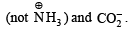 Integer Type ques of Carbohydrates, Amino Acids, Polymers & Miscellaneous Match the Following, Past | Additional Study Material for JEE