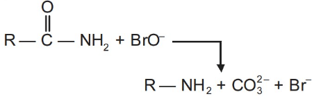 JEE Previous Year Questions (2021-2025): Compounds Containing Nitrogen | 35 Years Chapter wise Previous Year Solved Papers for JEE