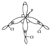 JEE Advanced (Subjective Type Questions): Chemical Bonding & Molecular Structure | Chapter-wise Tests for JEE Main & Advanced