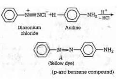 NEET Previous Year Questions (2014-2024): Amines | Chemistry Class 12