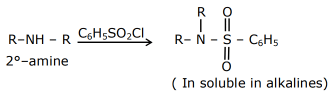 JEE Previous Year Questions (2021-2025): Compounds Containing Nitrogen | 35 Years Chapter wise Previous Year Solved Papers for JEE