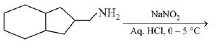 Previous year questions (2016-2025): Compounds Containing Nitrogen | JEE Main | 35 Years Chapter wise Previous Year Solved Papers for JEE