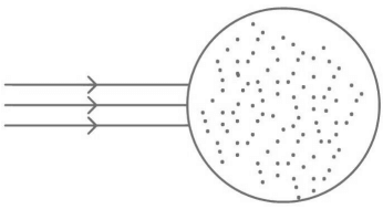 JEE Main Previous year questions (2022-23): Ray & Wave Optics - 2