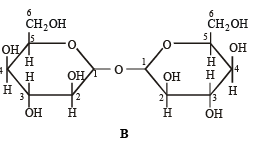 Subjective Type Questions: Carbohydrates, Amino Acids, Polymers & Miscellaneous | JEE Advanced | 35 Years Chapter wise Previous Year Solved Papers for JEE