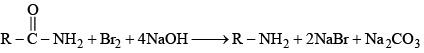 Previous year questions (2016-2025): Compounds Containing Nitrogen | JEE Main | 35 Years Chapter wise Previous Year Solved Papers for JEE