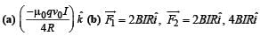 JEE Advanced (Subjective Type Questions): Moving Charges & Magnetism | Chapter-wise Tests for JEE Main & Advanced