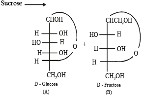 Subjective Type Questions: Carbohydrates, Amino Acids, Polymers & Miscellaneous | JEE Advanced | 35 Years Chapter wise Previous Year Solved Papers for JEE