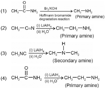 NEET Previous Year Questions (2014-2024): Amines | Chemistry Class 12