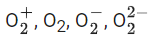 JEE Main Previous Year Questions (2016- 2025): Chemical Bonding & Molecular Structure