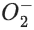 JEE Main Previous Year Questions (2016- 2025): Chemical Bonding & Molecular Structure