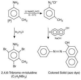 Previous year questions (2016-2025): Compounds Containing Nitrogen | JEE Main | 35 Years Chapter wise Previous Year Solved Papers for JEE
