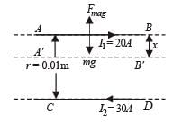 JEE Advanced (Subjective Type Questions): Moving Charges & Magnetism | Chapter-wise Tests for JEE Main & Advanced