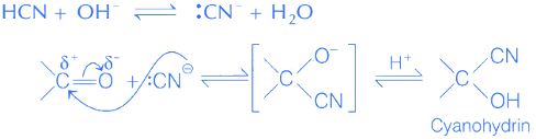JEE Previous Year Questions (2021-2025): Compounds Containing Nitrogen | 35 Years Chapter wise Previous Year Solved Papers for JEE