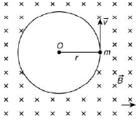 JEE Main Previous Year Questions (2016- 2025): Moving Charges & Magnetism- 1
