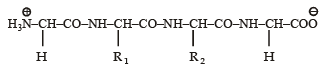 Integer Type ques of Carbohydrates, Amino Acids, Polymers & Miscellaneous Match the Following, Past | Additional Study Material for JEE