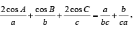 JEE Advanced (Fill in the Blanks): Properties of Triangle | Chapter-wise Tests for JEE Main & Advanced