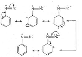 [Resonance structure of benzene diazonium ion]