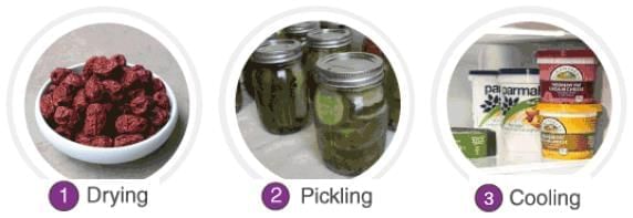 Unit Test (Solutions): The Mystery of Food | Our Wondrous World  Class 5 - New NCERT