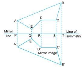 Symmetry Chapter Notes | Mathematics Class 6 (SSC Board)
