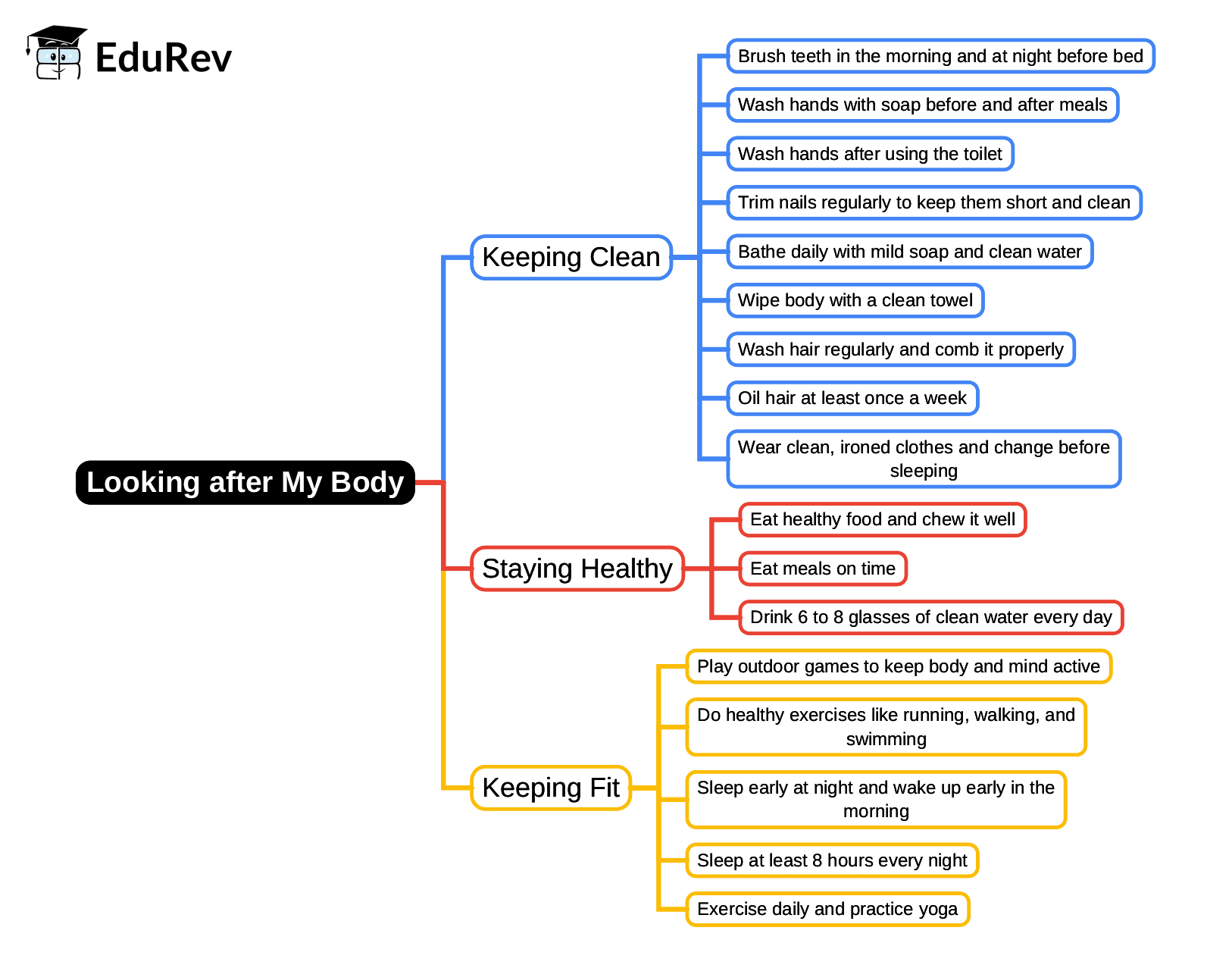 Looking after My Body Mind Map - Class 1 PDF Download
