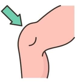 Knee