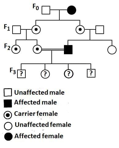 NEET Previous Year Questions(2016-25): Principles of Inheritance & Variation | Biology Class 12