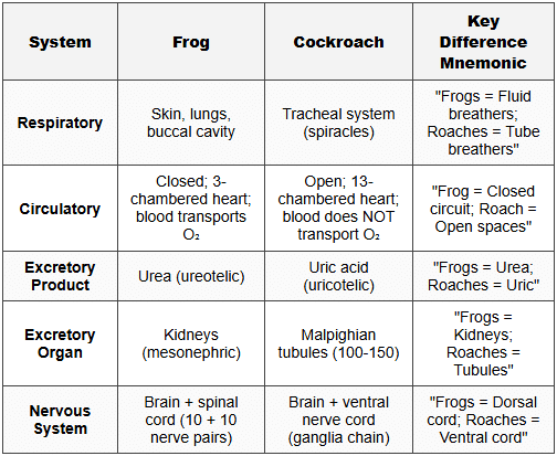 4.3 Frog vs Cockroach - Comparative Systems