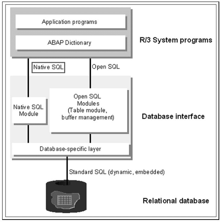 SAP ABAP - Native SQL Overview | Learn and Master SAP ABAP - Software Development