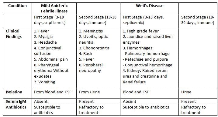 Spirochetes Chapter Notes | Microbiology - NEET PG
