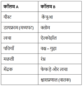 जीवों में श्वसन NCERT Solutions | NCERT Textbooks in Hindi (Class 6 to Class 12) - CTET & State TET