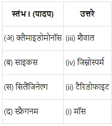वनस्पति जगत (Plant Kingdom) NCERT Solutions | NCERT Textbooks in Hindi (Class 6 to Class 12) - CTET & State TET