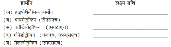 रासायनिक समन्वय तथा एकीकरण (Chemical Coordination & Integration) NCERT Solutions | NCERT Textbooks in Hindi (Class 6 to Class 12) - CTET & State TET