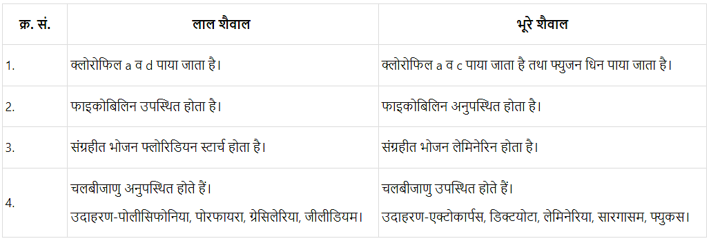 वनस्पति जगत (Plant Kingdom) NCERT Solutions | NCERT Textbooks in Hindi (Class 6 to Class 12) - CTET & State TET