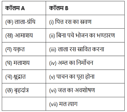 प्राणियों में पोषण (Nutrition in Animals) NCERT Solutions | NCERT Textbooks in Hindi (Class 6 to Class 12) - CTET & State TET