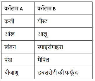 पादप में जनन (Reproduction in Plants) NCERT Solutions | NCERT Textbooks in Hindi (Class 6 to Class 12) - CTET & State TET