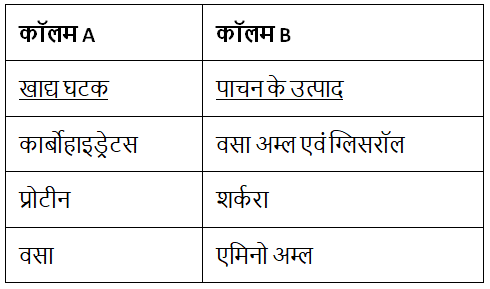 प्राणियों में पोषण (Nutrition in Animals) NCERT Solutions | NCERT Textbooks in Hindi (Class 6 to Class 12) - CTET & State TET