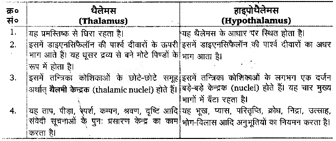 तन्त्रिकीय नियन्त्रण एवं समन्वय (Neural Control & Coordination) NCERT Solutions | NCERT Textbooks in Hindi (Class 6 to Class 12) - CTET & State TET